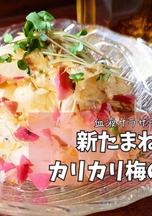 血液サラサ新たまとカリカリ梅のサラダ-レシピのメイン写真