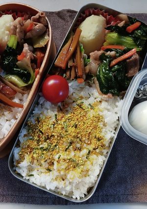 豚肉ターサイ炒め弁当(12.26)-レシピのメイン写真