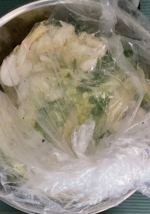 ビニール袋で白菜漬物-レシピのメイン写真