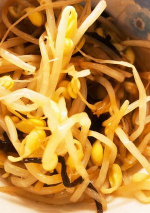 ごま油じゃなくオリーブor米油でナムル-レシピのメイン写真