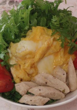 ☆ササミ＆わさび菜のレモン風味サラダ☆-レシピのメイン写真