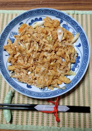 ヨウサマの減塩衣笠丼風(京都風)-レシピのメイン写真