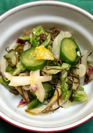 白菜とキュウリの梅昆布味の浅漬け風-レシピのメイン写真