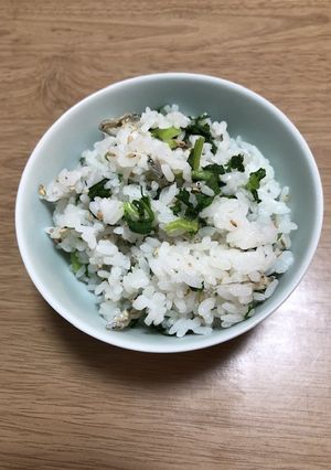 じゃこと大根菜の混ぜご飯-レシピのメイン写真