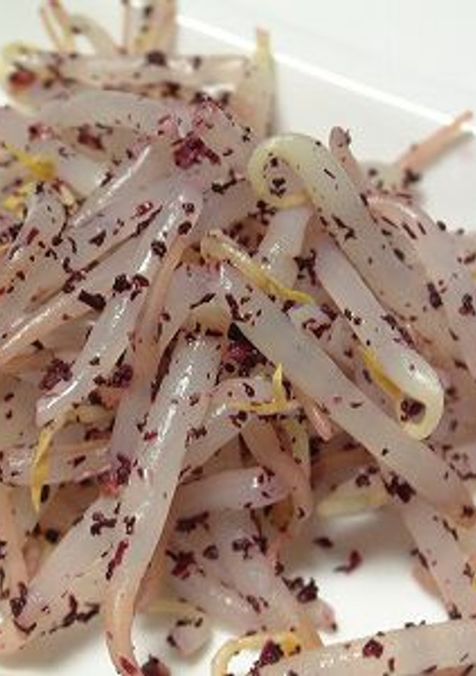 モヤシの和え物-レシピのメイン写真