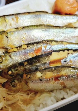 業務スーパー バルト海いわしの生姜煮-レシピのメイン写真