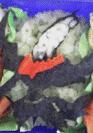 ポケモンキャラ弁☆ダークライ-レシピのメイン写真