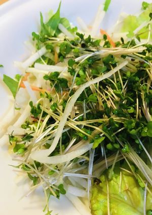 市販サラダ●カイワレだいこんトッピング-レシピのメイン写真
