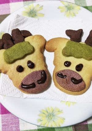 干支クッキー【辰】-レシピのメイン写真