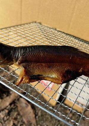 釣ったニジマスの燻製-レシピのメイン写真