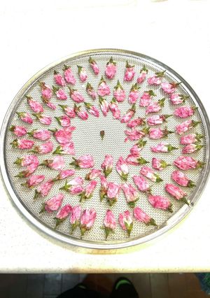 桜の花の塩漬け-レシピのメイン写真