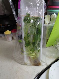 パック三つ葉の保存簡単-レシピのメイン写真