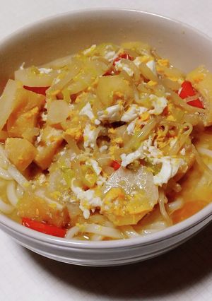野菜たっぷりかき玉うどん-レシピのメイン写真