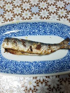 カタボシイワシの塩焼き-レシピのメイン写真