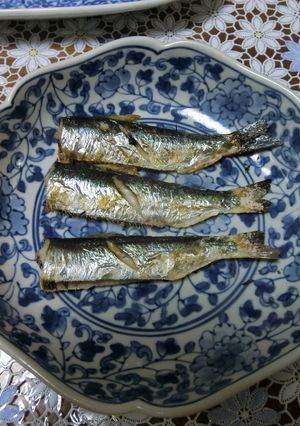 サッパ（ママカリ）の塩焼き-レシピのメイン写真
