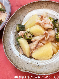 長芋*オクラ*豚バラのこっくり煮♪-レシピのメイン写真