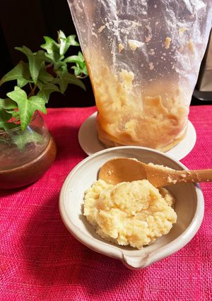 【ポリ袋で簡単】おから味噌仕込み-レシピのメイン写真