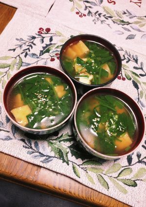 パパっと！絹厚揚げサラダほうれん草味噌汁-レシピのメイン写真
