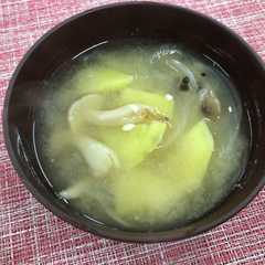 รูปของ 【郡山女子大】秋の味噌汁