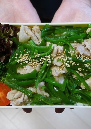 電子レンジで簡単★ピーマンと豚肉の丼弁当-レシピのメイン写真