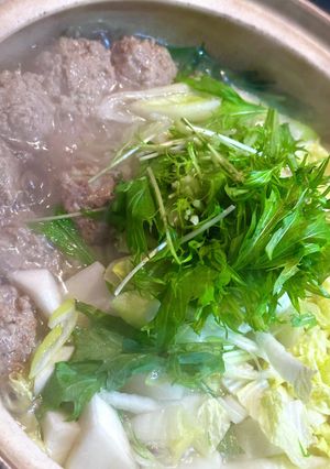 わが家の鍋史上最高!肉団子鍋!-レシピのメイン写真