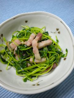 豆苗(とうみょう)とベーコンの炒め物-レシピのメイン写真