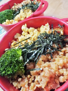 早くできるお弁当2 そぼろ丼-レシピのメイン写真