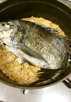 食日記/黒鯛の炊き込みご飯-レシピのメイン写真