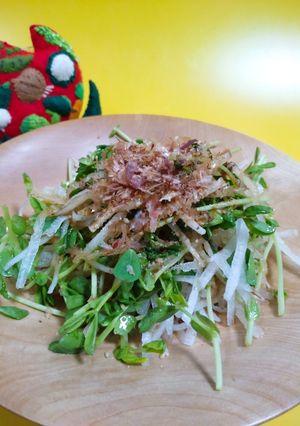 豆苗と大根のサラダ　-レシピのメイン写真