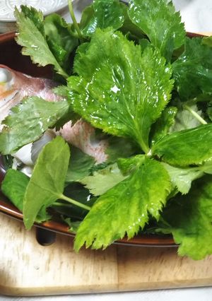 UKI風 甘鯛の酒蒸し 三つ葉添え-レシピのメイン写真