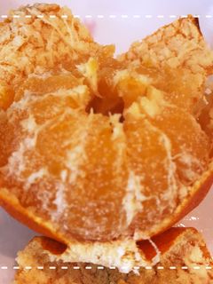 トースターで簡単!焼きみかん-レシピのメイン写真