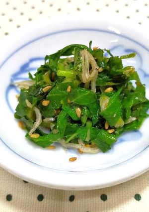 大根の葉のちりめんじゃこ炒め-レシピのメイン写真