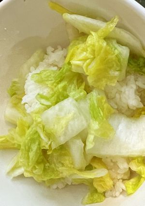 発酵白菜浅漬け-レシピのメイン写真