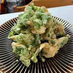 รูปของ 春菊とささみのかき揚げ