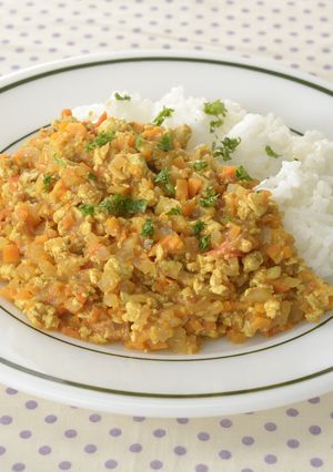 もめん豆腐のドライカレー-レシピのメイン写真