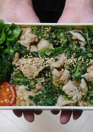 レンジで簡単★豚肉と春菊のごま和え丼弁当-レシピのメイン写真
