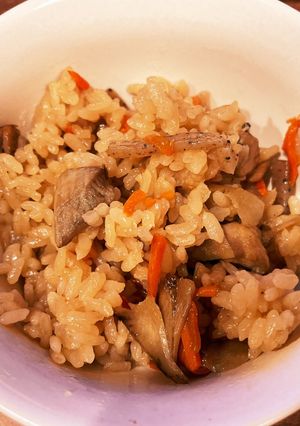 鶏ごぼう炊き込みご飯-レシピのメイン写真