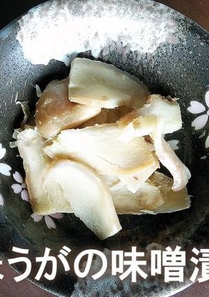 パクパク止まらない！しょうがの味噌漬け-レシピのメイン写真