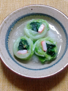 彩り白菜おろし添え-レシピのメイン写真