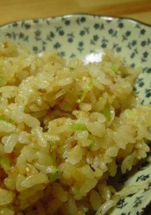 何もない時の、ねぎチャーハン♪-レシピのメイン写真