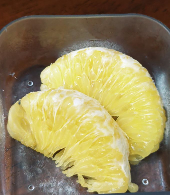 甘夏シャーベット　材料甘夏だけ-レシピのメイン写真