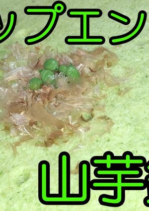 スナップエンドウで山芋鉄板★動画あり★-レシピのメイン写真