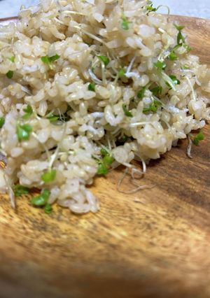 混ぜるだけ★しらすご飯-レシピのメイン写真