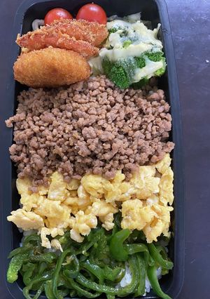 頑張るパパへ62三色弁当-レシピのメイン写真