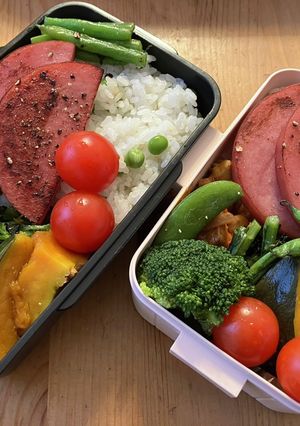 高校生男子弁当407 女子弁当116-レシピのメイン写真