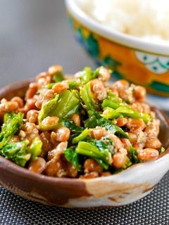 すりごま入り☆ほうれん草の納豆和え-レシピのメイン写真