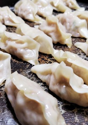 ホットプレートで豆腐入り餃子3/31更新-レシピのメイン写真