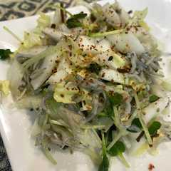 รูปของ 白菜サラダ