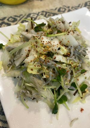 白菜サラダ-レシピのメイン写真