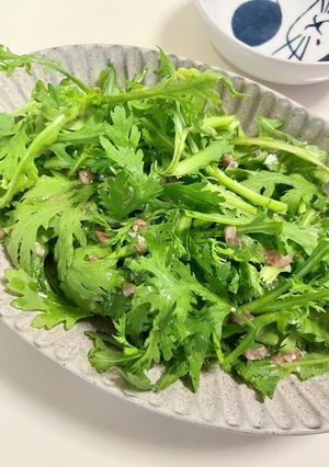 生で美味しい春菊のサラダ ビールにも-レシピのメイン写真